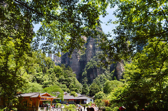 张家界十里画廊风景区天子山脚下图片