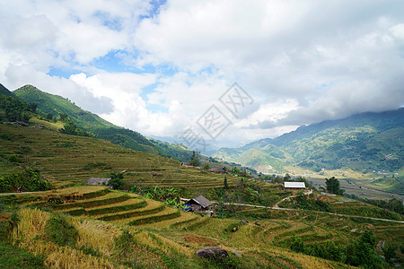 越南山地苗族梯田高清图片