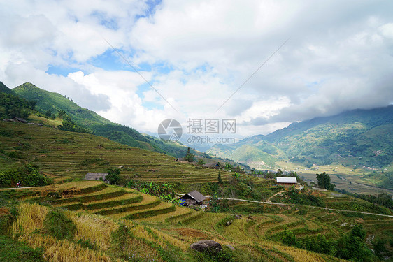 越南山地苗族梯田图片