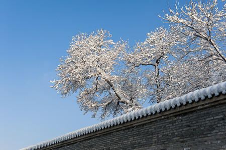 北国雪景蓝色砖墙高清图片