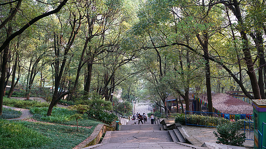湖南株洲石峰公园森林步道图片