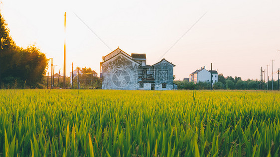 夕阳下的村庄与田野图片