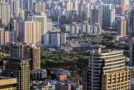 上海风光背景图片