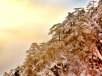 大美黄山冬天景色图片