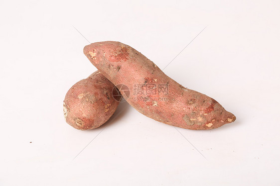 红薯图片