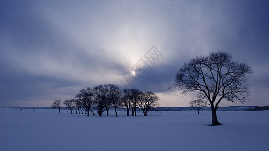 黑河冬景图片