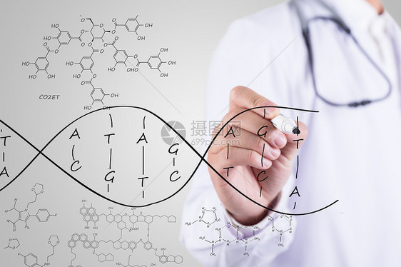 医生手绘DNA结构图片