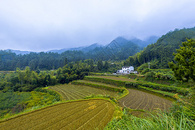 连绵起伏的群山梯田图片