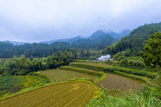 连绵起伏的群山梯田图片