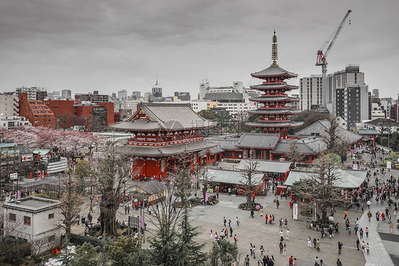 东京浅草寺图片