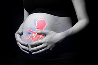 孕妇腹部透视图片