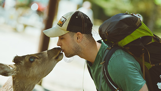 与鹿亲吻的游客背景图片