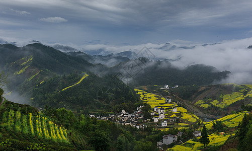 壮观的春季油菜花田与云海背景图片