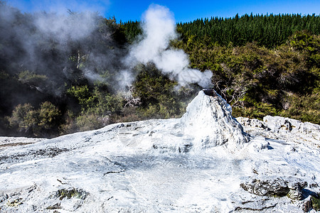 白色火山口新西兰 罗托鲁阿地热公园背景