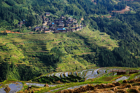 贵州遵义加榜梯田背景