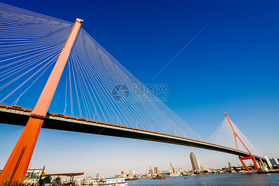 上海杨浦大桥图片