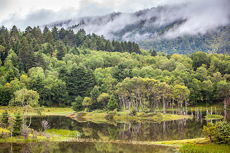  云南香格里拉普达措森林公园背景图片