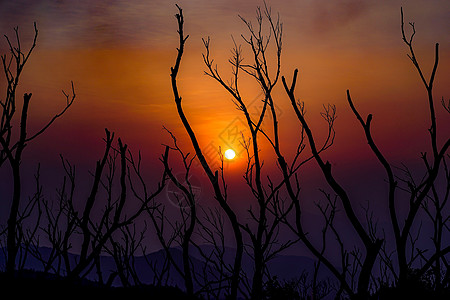 登山户外香港阳明山山顶夕阳背景