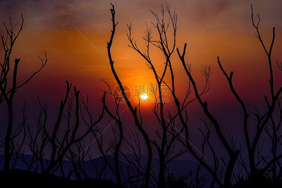 香港阳明山山顶夕阳图片