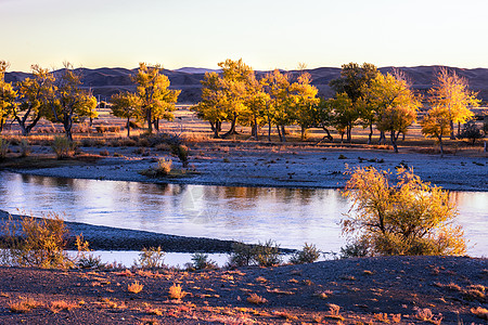 北疆河边秋色图片