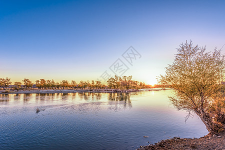 黄昏树林额尔齐斯河的夕阳背景