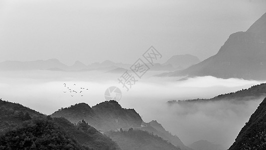 飞鸟特效素材水墨效果的中国山水风光背景