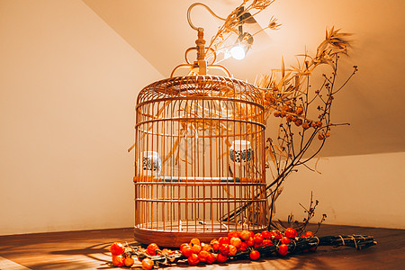 茶馆装饰中国风鸟笼图片