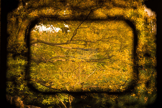 窗棱里的秋色图片