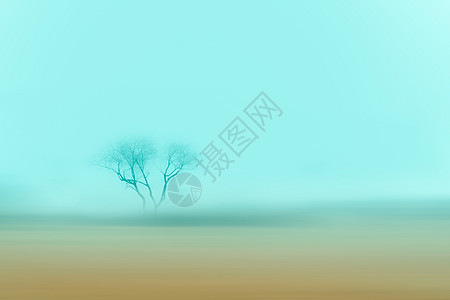 内蒙古坝上草原一棵树背景图片