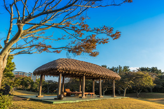 韩国济州民俗村图片