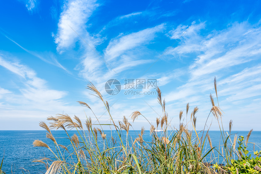 韩国济州岛龙头岩海滨图片