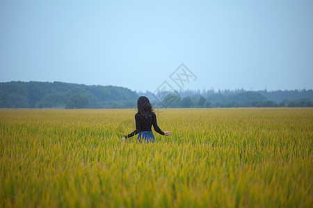 女孩背景素材图片