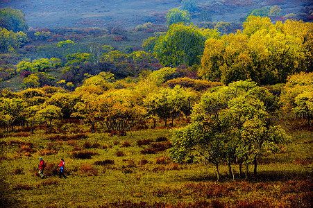 呼伦贝尔草原秋色背景图片