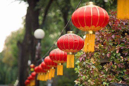 春节过年挂灯笼背景图片