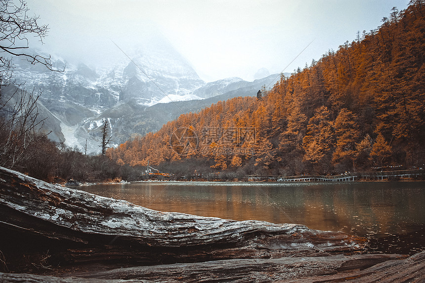 ‘~稻城美景  ~’ 的图片