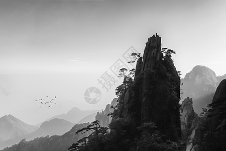 松树剪影充满水墨画和中国风意境的黄山雾气背景