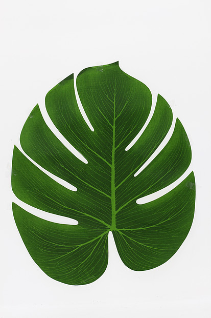 树叶形状装饰餐布