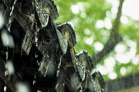 雨背景图片