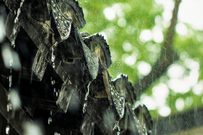 雨图片