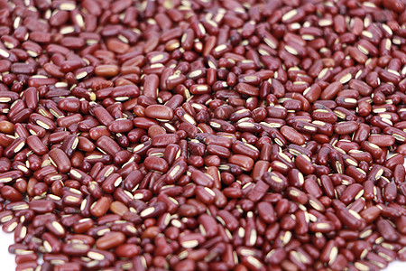 红豆赤小豆原料图图片