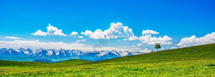 草原风景山水山马高清图片