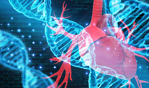 人体肝脏与DNA高清图片