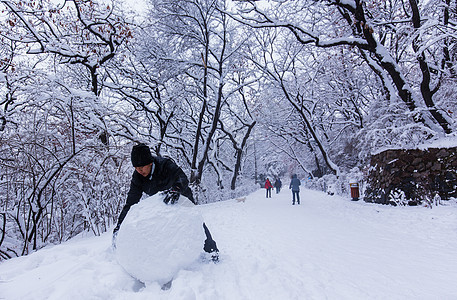 冬天雪景冬天下雪堆雪球的人背景图片