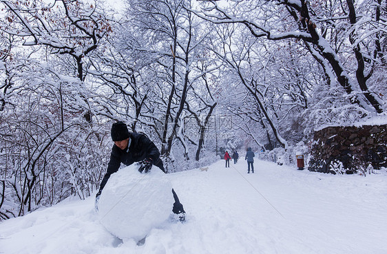 冬天雪景冬天下雪堆雪球的人图片