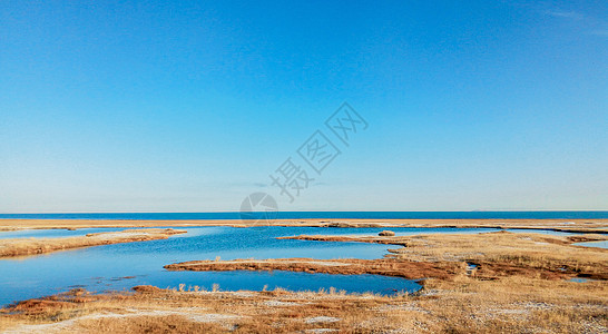 青海湖岸边背景图片