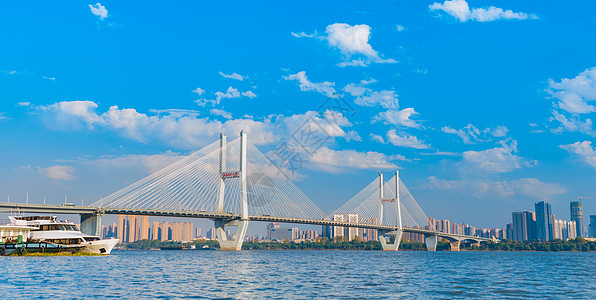 望天树吊桥武汉长江大桥背景