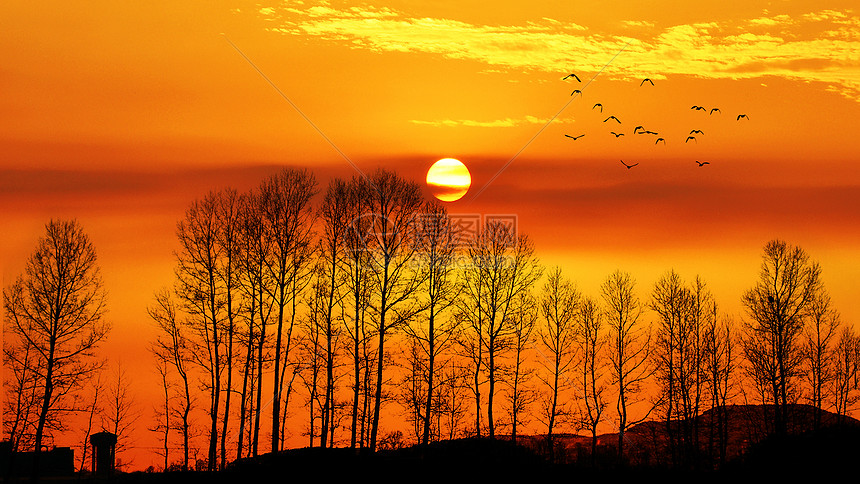 夕阳下的唯美黄昏剪影高清图片下载 正版图片 摄图网 夕阳下的唯美黄昏剪影高清图片下载 正版图片 摄图网