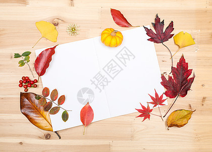 秋日落叶缤纷多彩的桌面图片