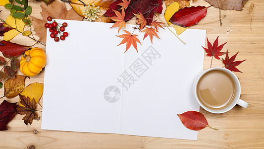 秋日落叶缤纷多彩的桌面背景图片