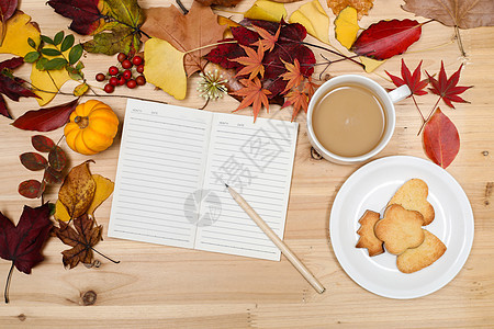 秋日落叶缤纷多彩的桌面背景图片